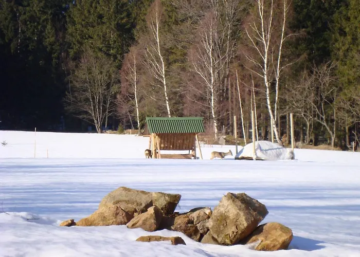 شقة Trzy Kultury Zloty Widok شكلارسكا بوريبا