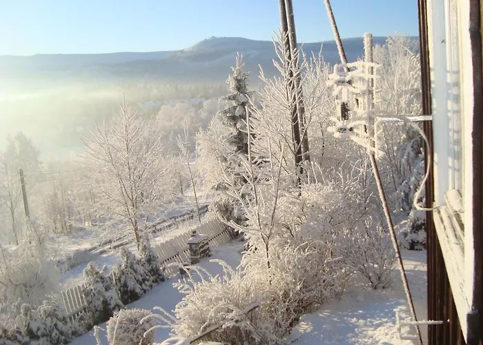 Trzy Kultury Zloty Widok * شكلارسكا بوريبا