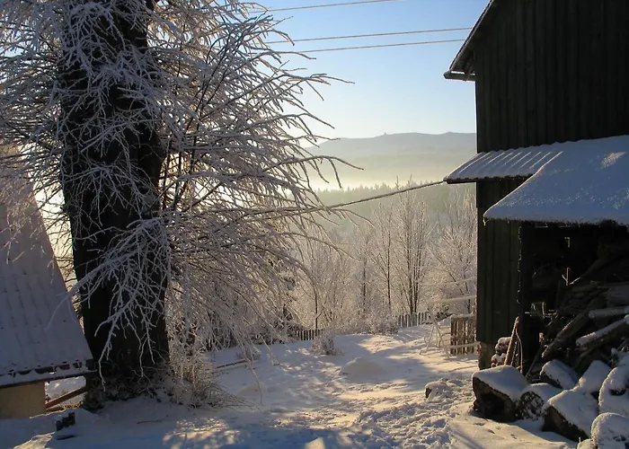 شقة Trzy Kultury Zloty Widok شكلارسكا بوريبا