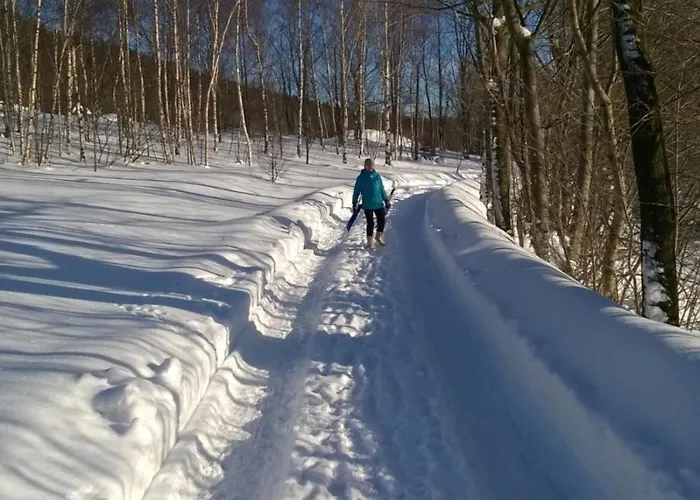 Trzy Kultury Zloty Widok شكلارسكا بوريبا