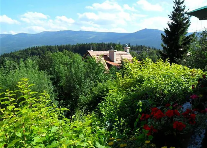 Trzy Kultury Zloty Widok شكلارسكا بوريبا