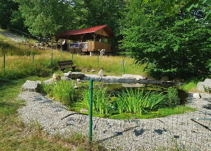 Trzy Kultury Zloty Widok