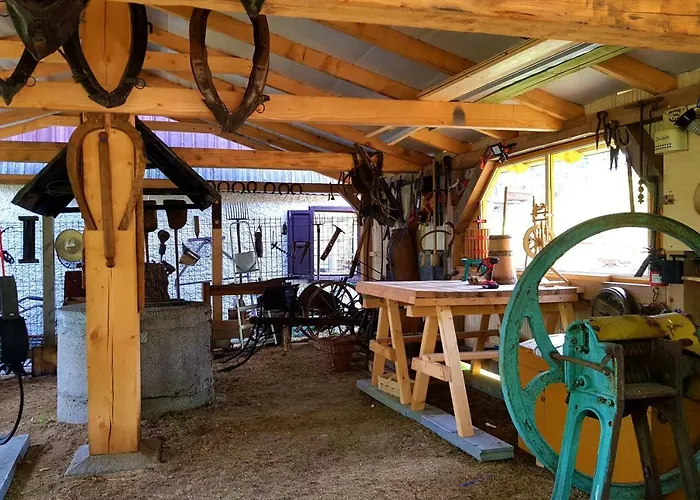 Trzy Kultury Zloty Widok شكلارسكا بوريبا