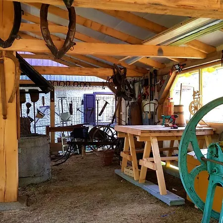 Trzy Kultury Zloty Widok شكلارسكا بوريبا