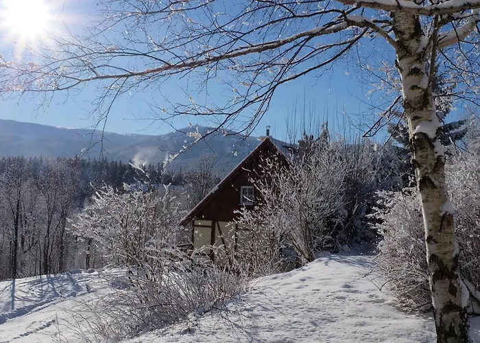 Trzy Kultury Zloty Widok