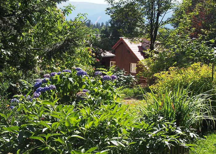 Trzy Kultury Zloty Widok *